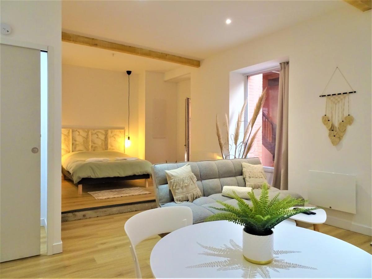 モントーバンSublime Cocon Pour 2 Aux Portes De La Place Nationale - Proximite Immediate Toutes Commodites Et Sites D'Interetsアパートメント エクステリア 写真